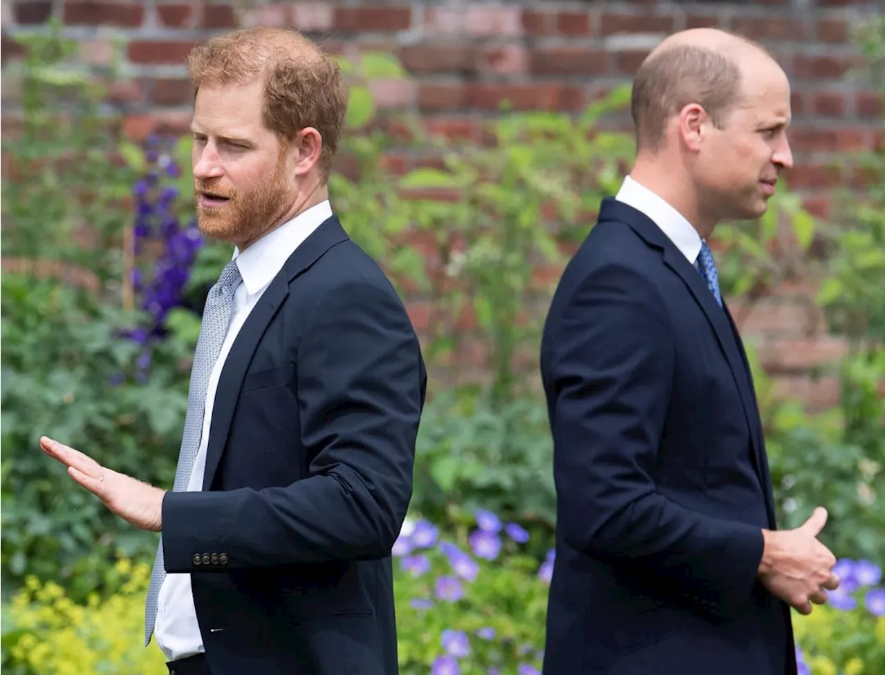 Prince William makes ‘rare’ comment about Prince Harry