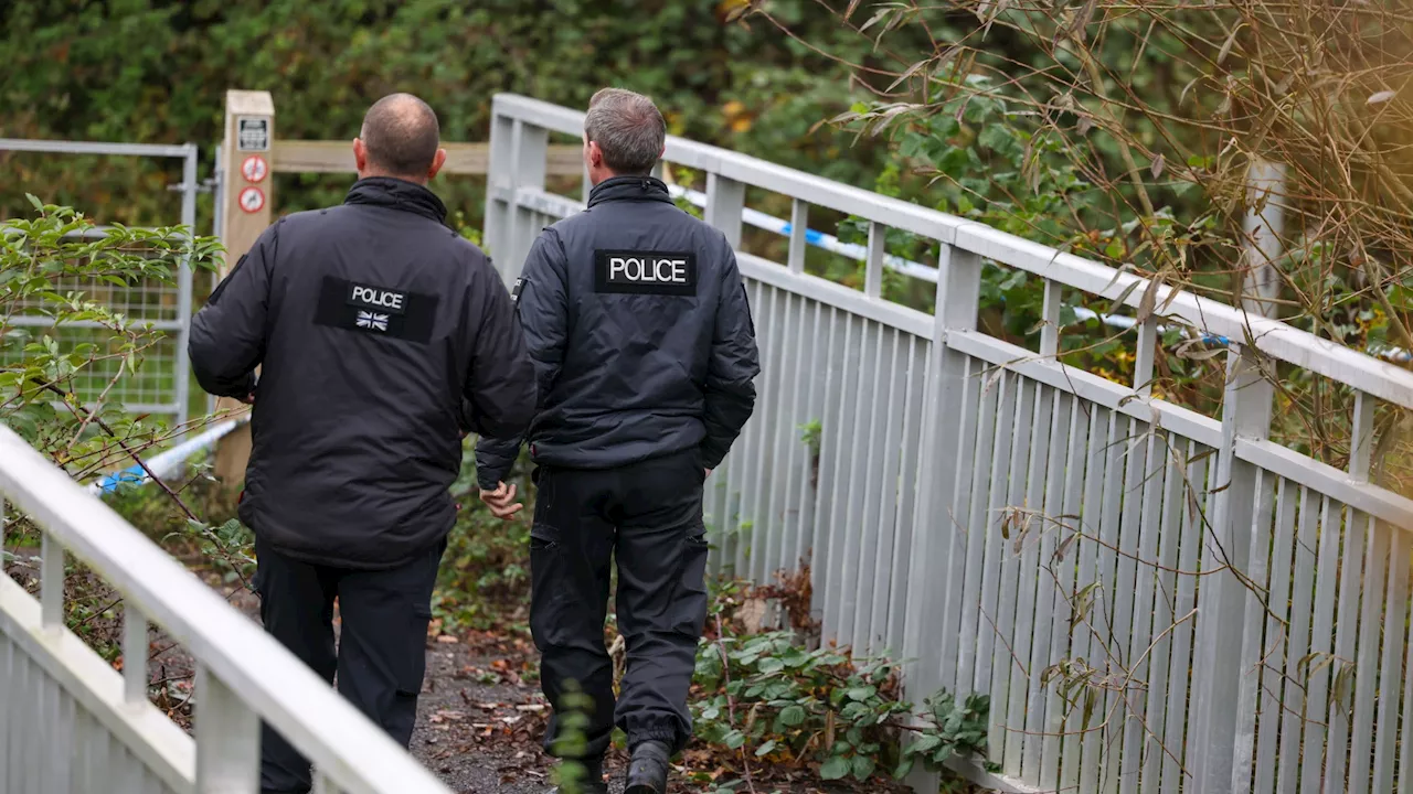 Mystery deepens as divers scour stream after ‘human remains’ found by horrified dogwalker in field near pri...