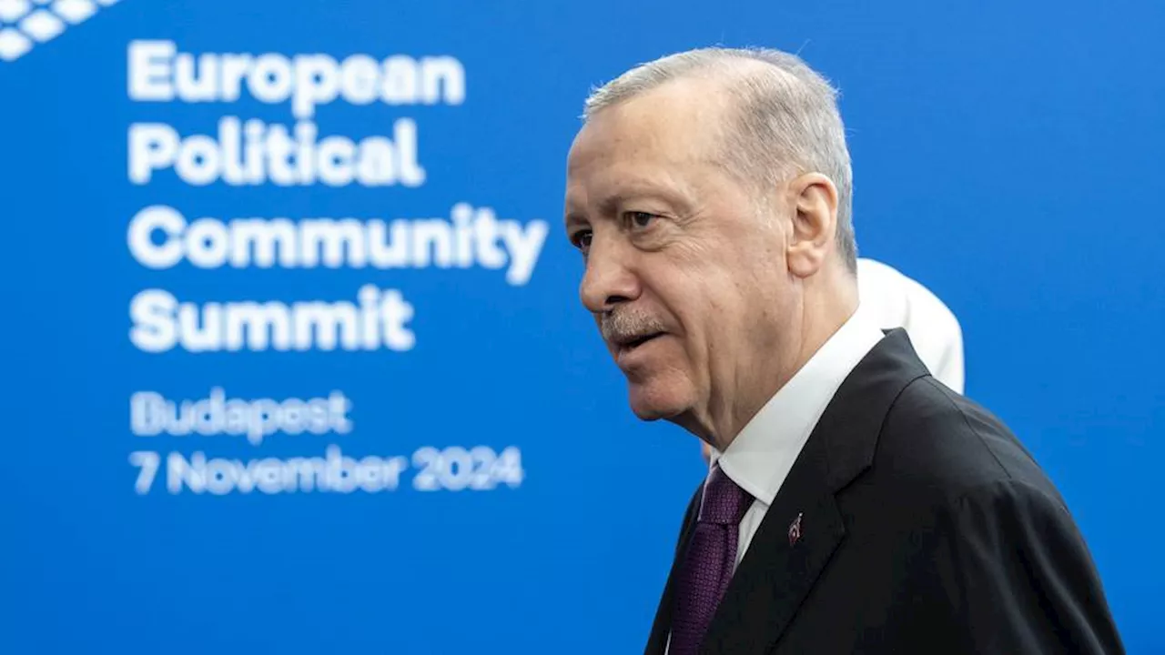 Türkiye's full inclusion into EU defence vital for Europe's peace — Erdogan