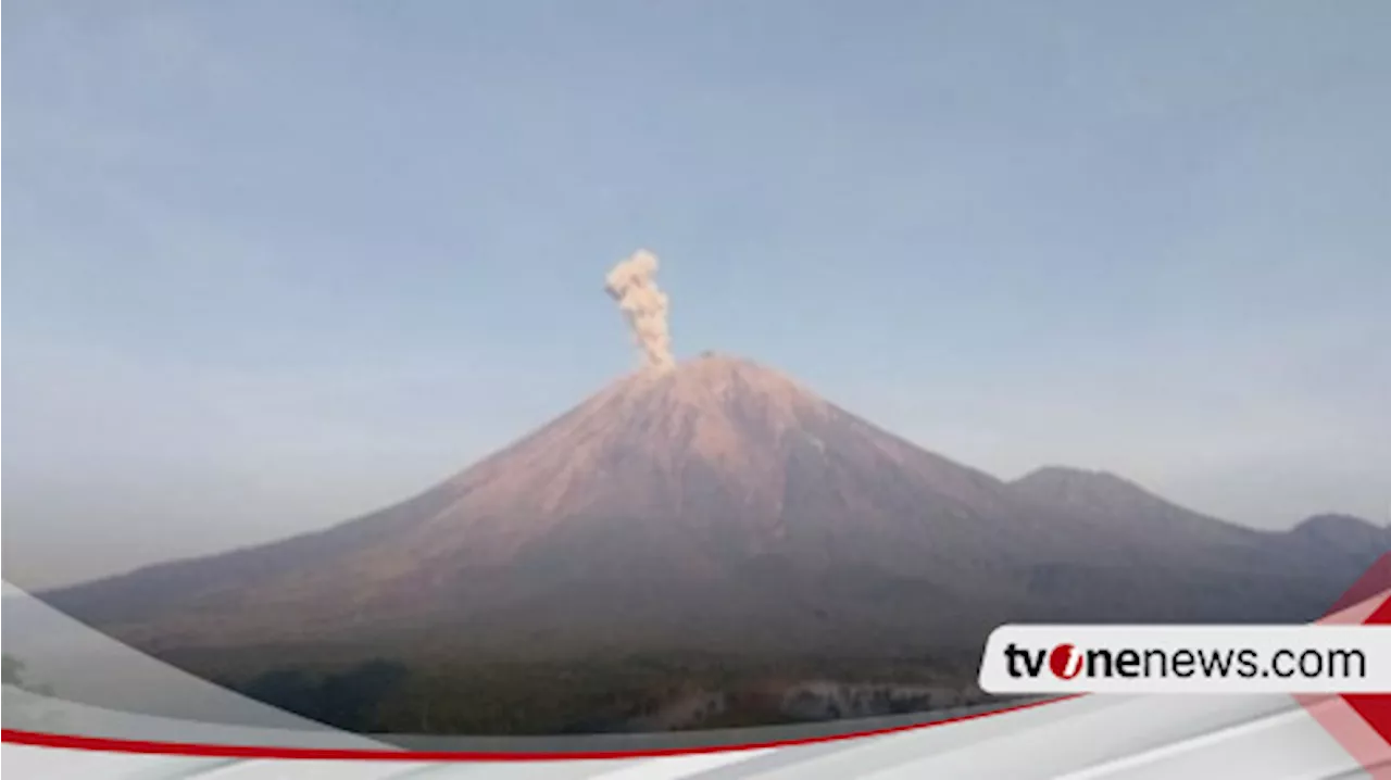 Gunung Semeru 10 Kali Erupsi Pada Kamis Pagi Ini, Tinggi Letusan Capai 1 Kilometer