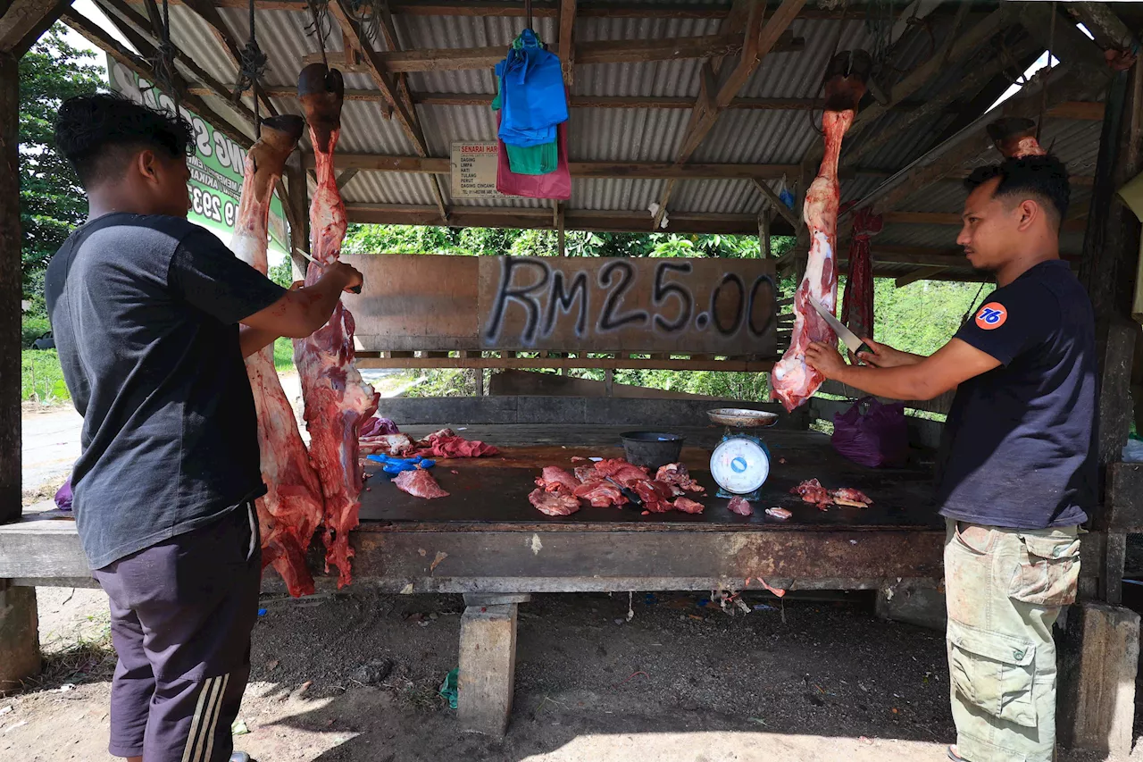 Lambakan lembu Thailand, daging di Kelantan murah