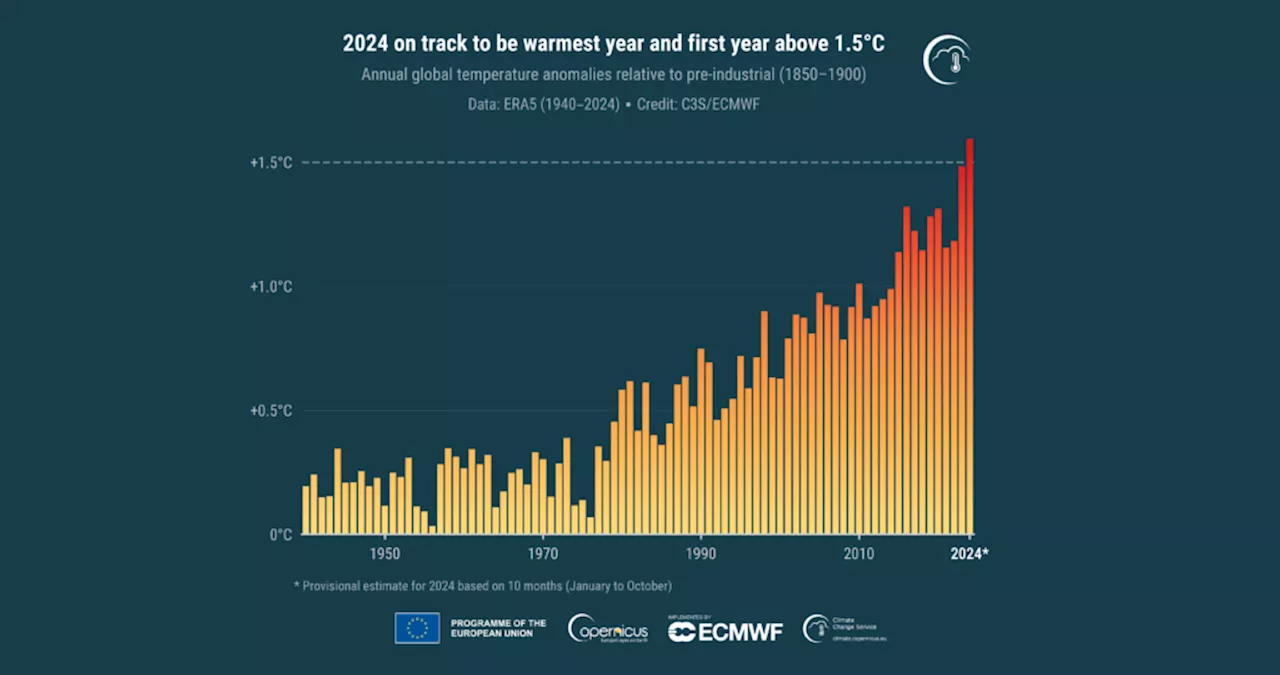 EU’s klimatjeneste: 2024 bliver det varmeste år nogensinde med temperaturstigning på 1,5 grader