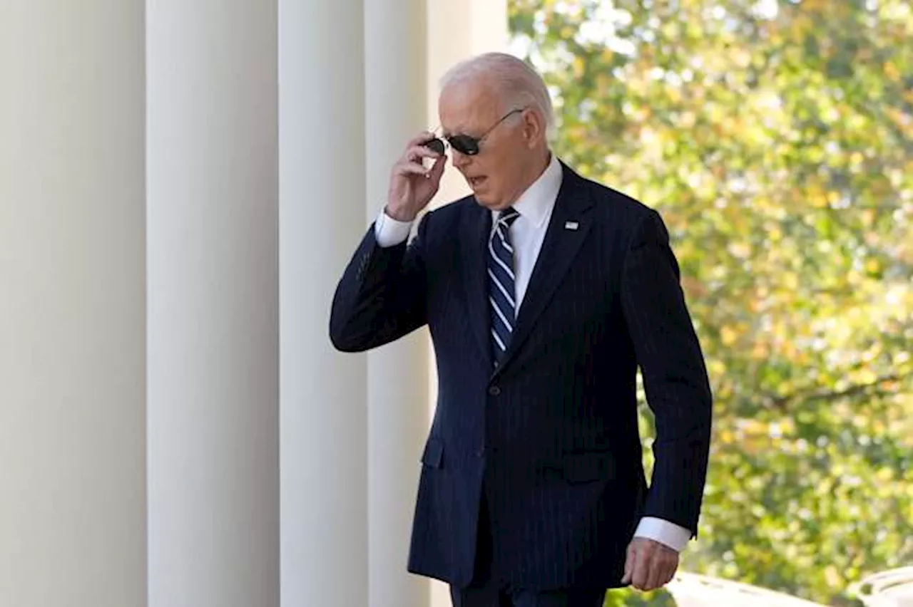 Biden will visit the Amazon rainforest as part of six-day trip to Latin America