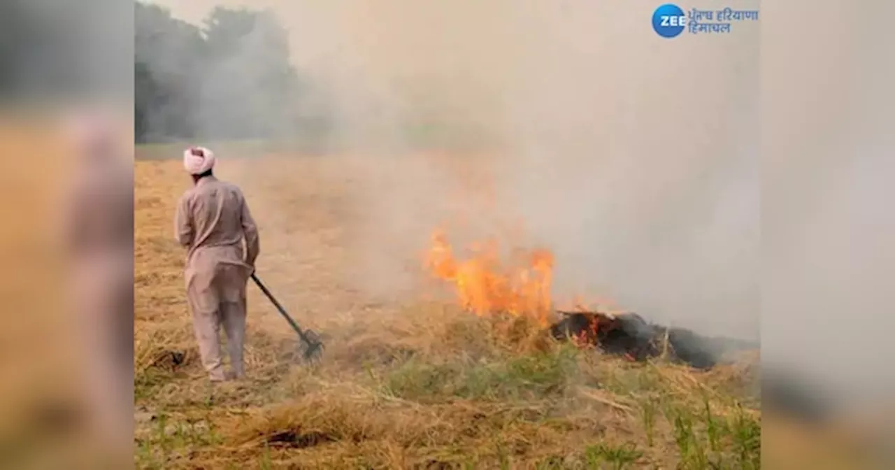 Bathinda Stubble Burning: ਪਿਛਲੇ ਸਾਲਾਂ ਦੇ ਮੁਕਾਬਲੇ ਪਰਾਲੀ ਨੂੰ ਅੱਗ ਲਾਉਣ ਦੇ ਮਾਮਲੇ 75% ਘਟੇ