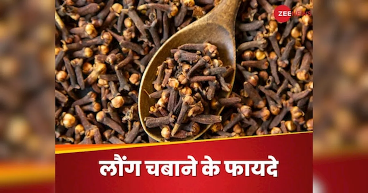 Clove: सुबह खाली पेट क्यों चबाना चाहिए लौंग? फायदे जानेंगे तो खाए बिना नहीं रह पाएंगे आप