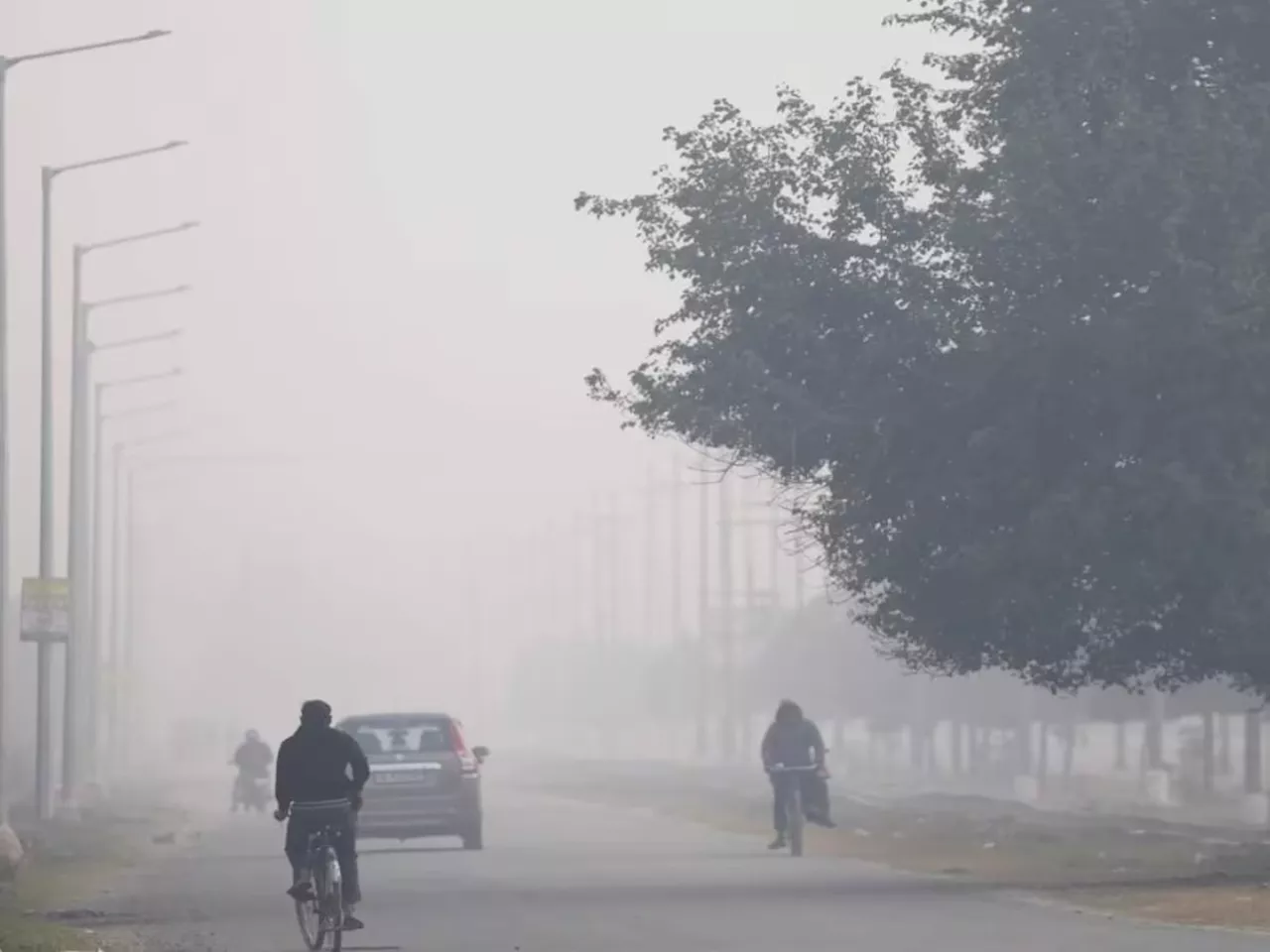 Maharashtra Weather : पुढील 5 दिवसात कसं असेल वातावरण? गुलाबी थंडी की पाऊस?