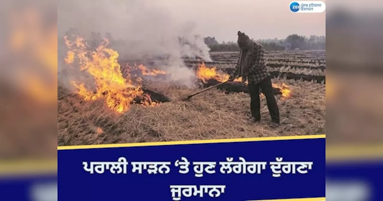 Stubble Burning News: ਸੁਪਰੀਮ ਕੋਰਟ ਦੀ ਟਿੱਪਣੀ ਤੋਂ ਬਾਅਦ ਕੇਂਦਰ ਸਖ਼ਤ, ਪਰਾਲੀ ਸਾੜਨ ਤੇ ਹੁਣ ਦੁੱਗਣਾ ਲੱਗੇਗਾ ਜੁਰਮਾਨਾ