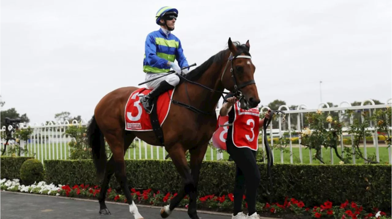 Attrition lands rare slice of luck ahead of $2m Rosehill feature