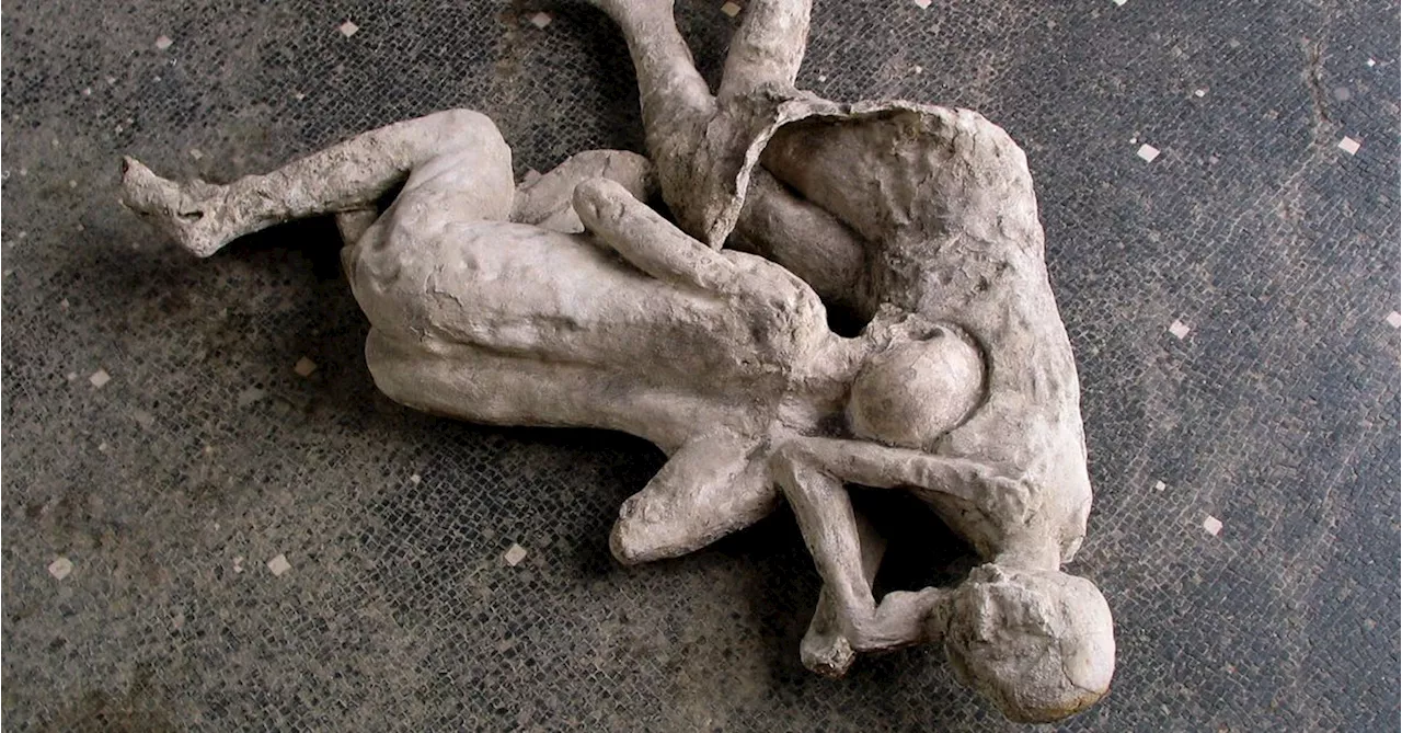 DNA analysis upends long-held assumptions about Pompeii victims' final moments