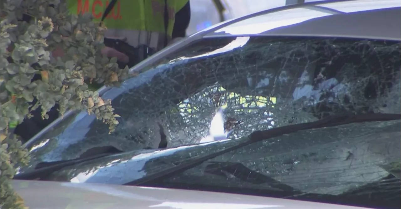 Driver killed after metal object fell off truck and hit windscreen on Melbourne freeway