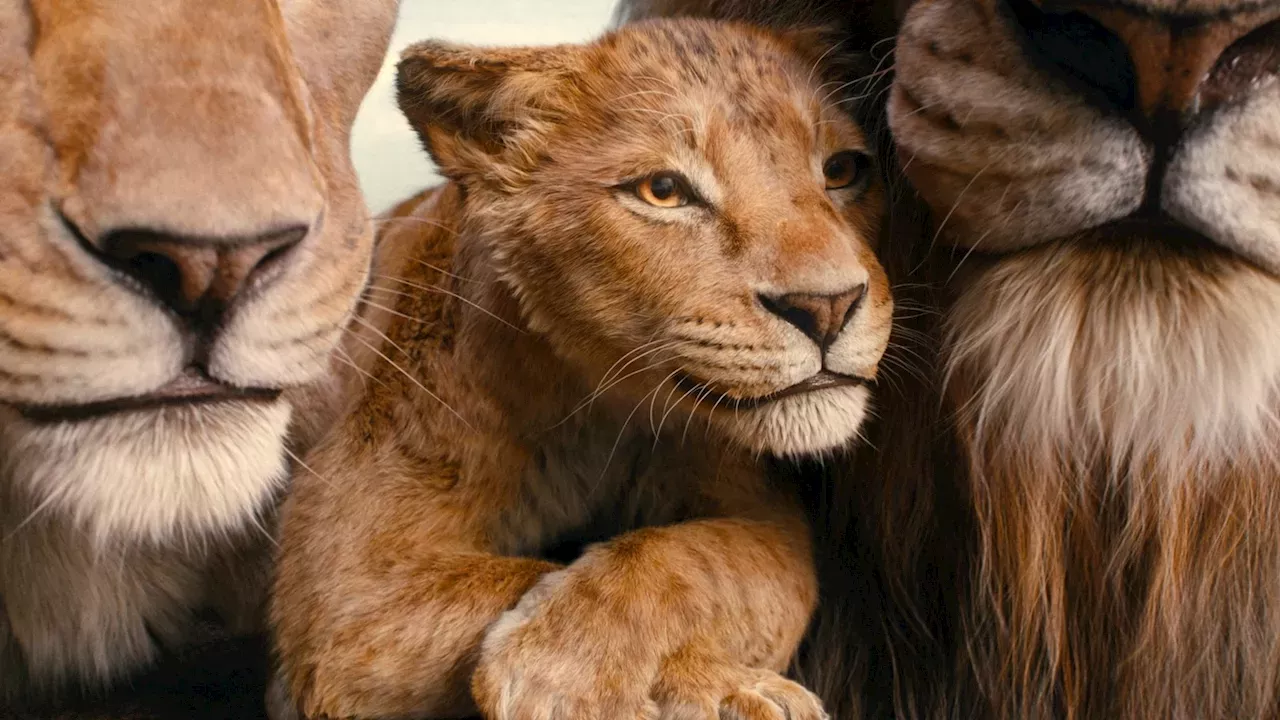 1st look at new 'Mufasa' trailer debuts on 'Good Morning America