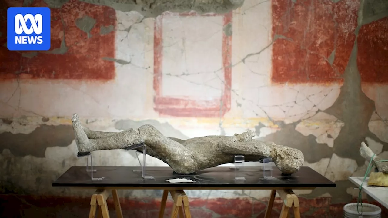 Long-held beliefs about ancient residents of Pompeii debunked by DNA testing