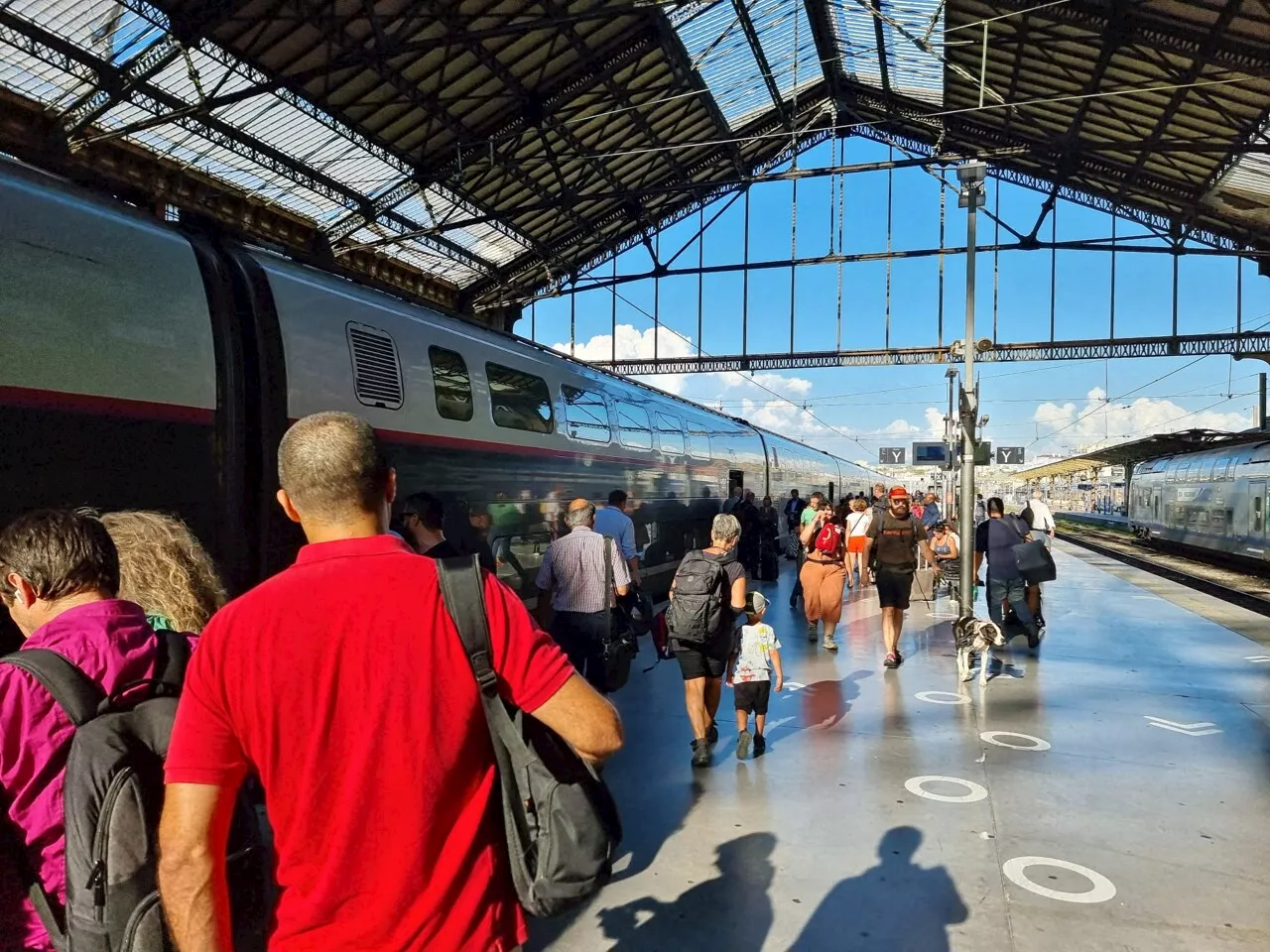 SNCF. Le TGV Paris-Marseille stoppé tout le week-end, voici les alternatives