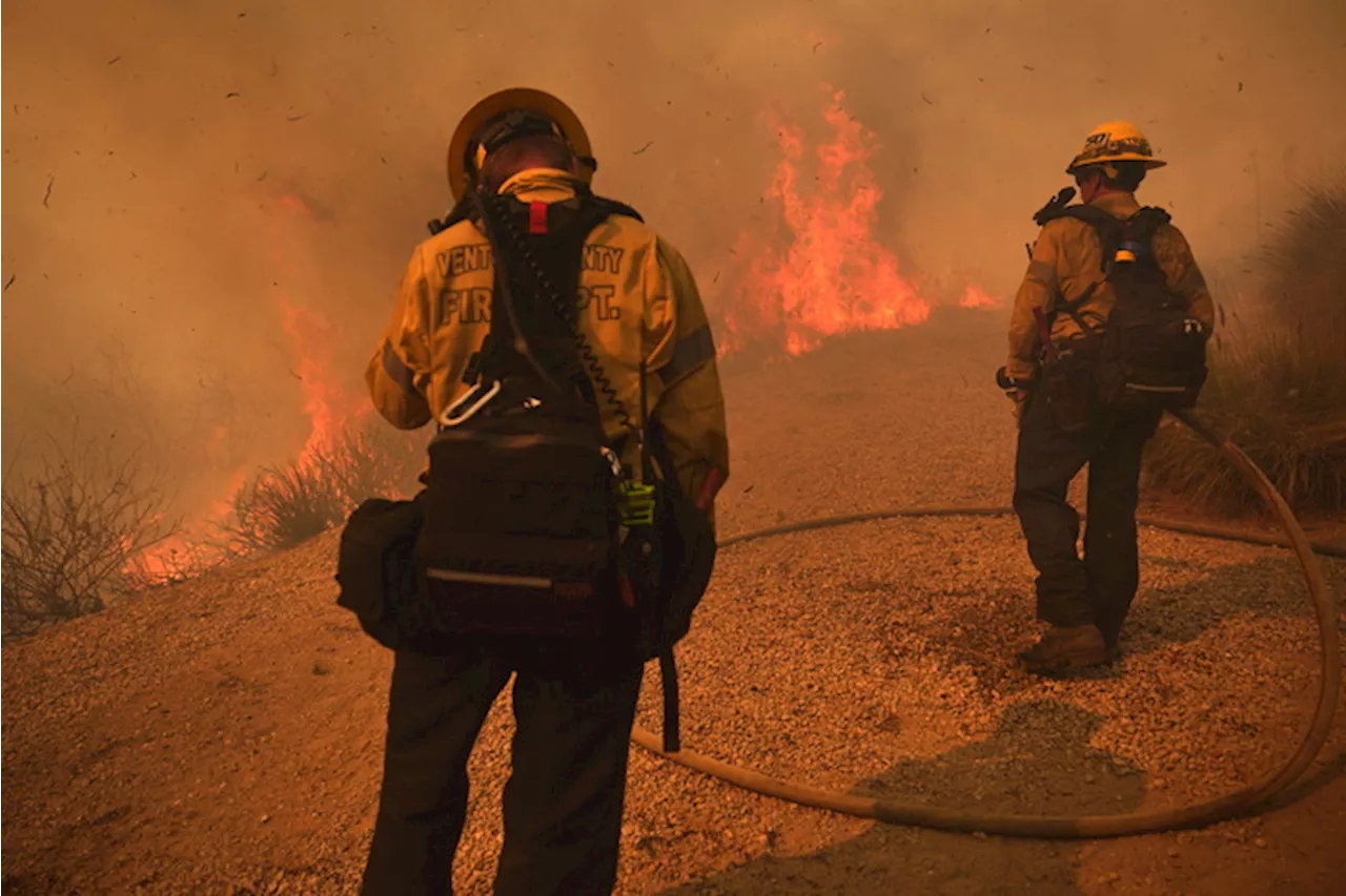 Vigili del fuoco combattono un incendio in California