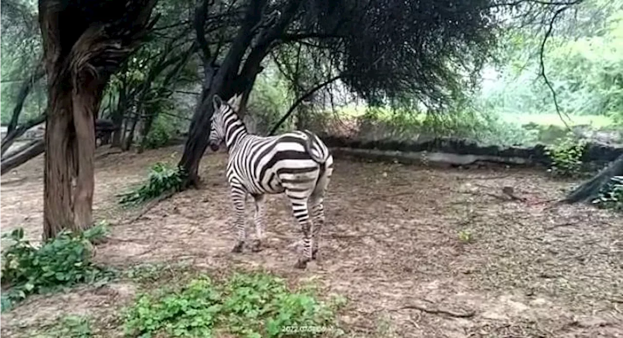 अध्ययन: एकजुटता मानसिक संबल प्रदान करने से जीवन चेतना में मजबूती, ऑक्सफोर्ड के शोधकर्ताओं ने किया ये खुलासा