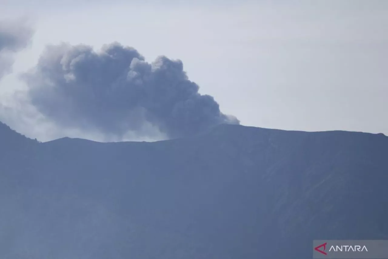 BNPB: Sumbar harus belajar dari tragedi Gunung Lewotobi Laki-Laki