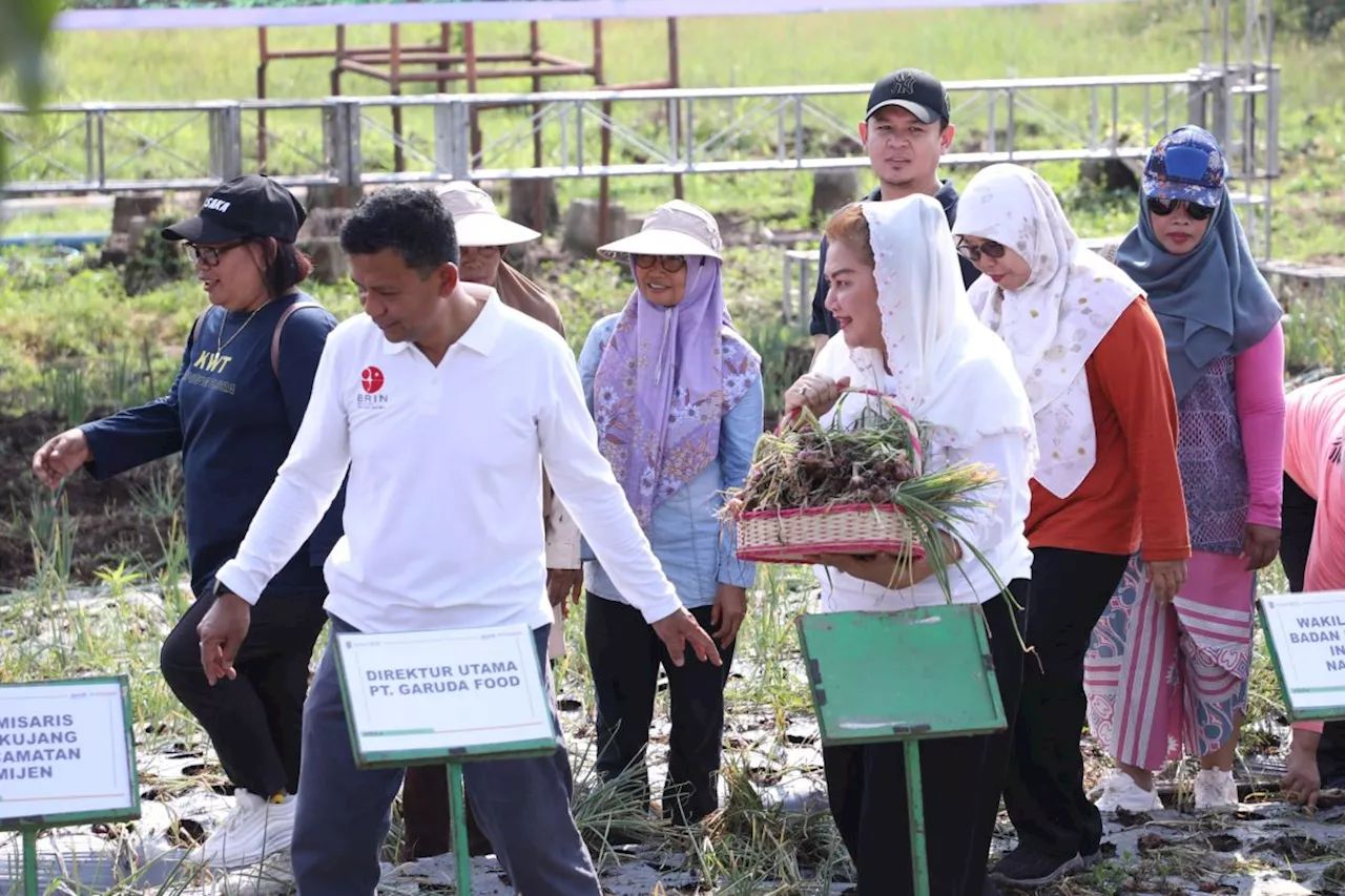 Pemkot Semarang gandeng BRIN panen bawang merah