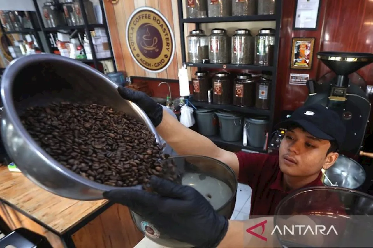 Pengolahan biji kopi arabika gayo yang melegenda dari Kabupaten Aceh Tengah