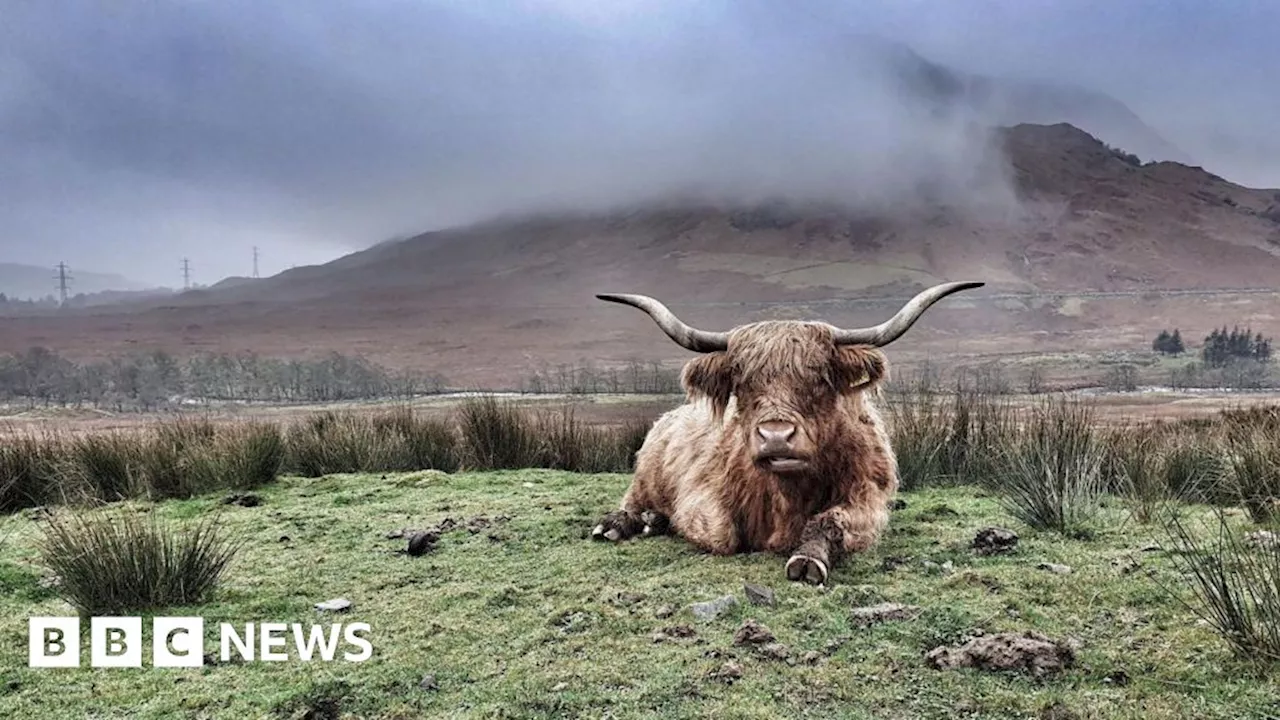 Your pictures of Scotland: Photographs from around the country