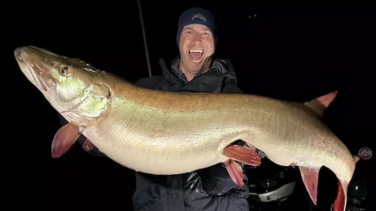 Angler fängt Rekord-Hecht: Das ist der größte Muskie der Welt