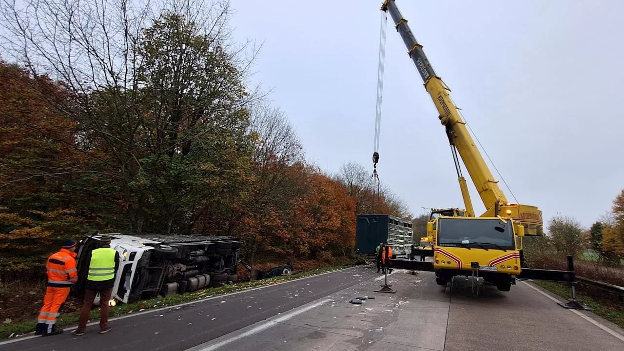 Unfall an Ahlhorner Heide: Tiertransporter mit Puten verunglückt