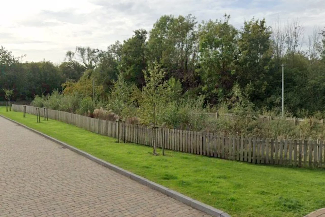 Row of apple trees in Cottam to be cut down after disease strikes