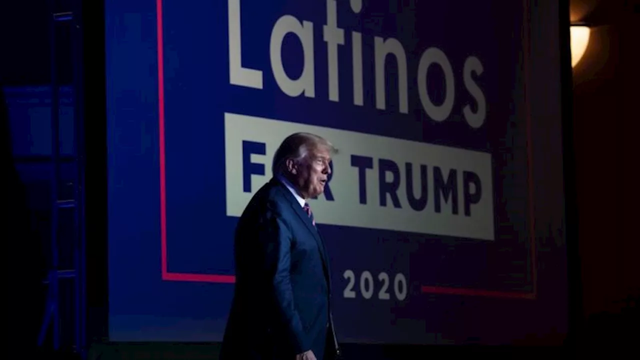 Voto latino: cuánto peso tuvo realmente en la victoria de Donald Trump