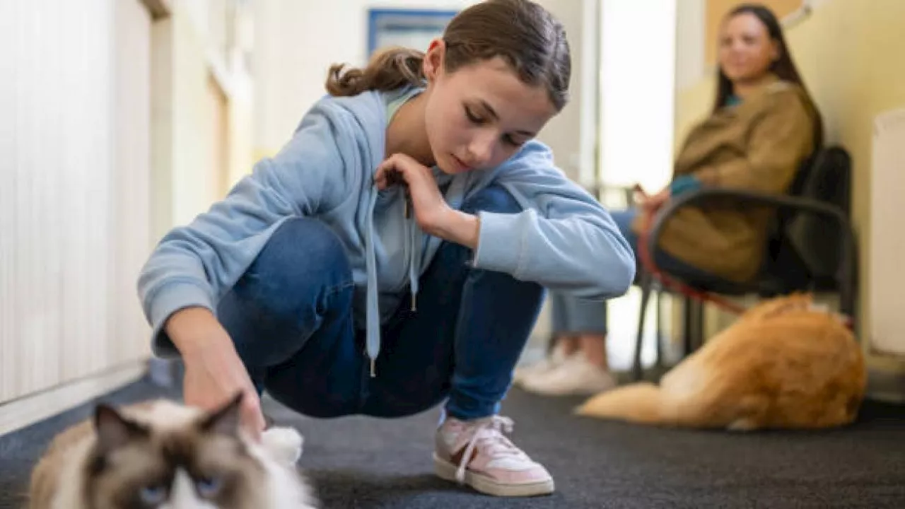 Gli animali domestici fanno bene all’umore e alla salute di tutta la famiglia