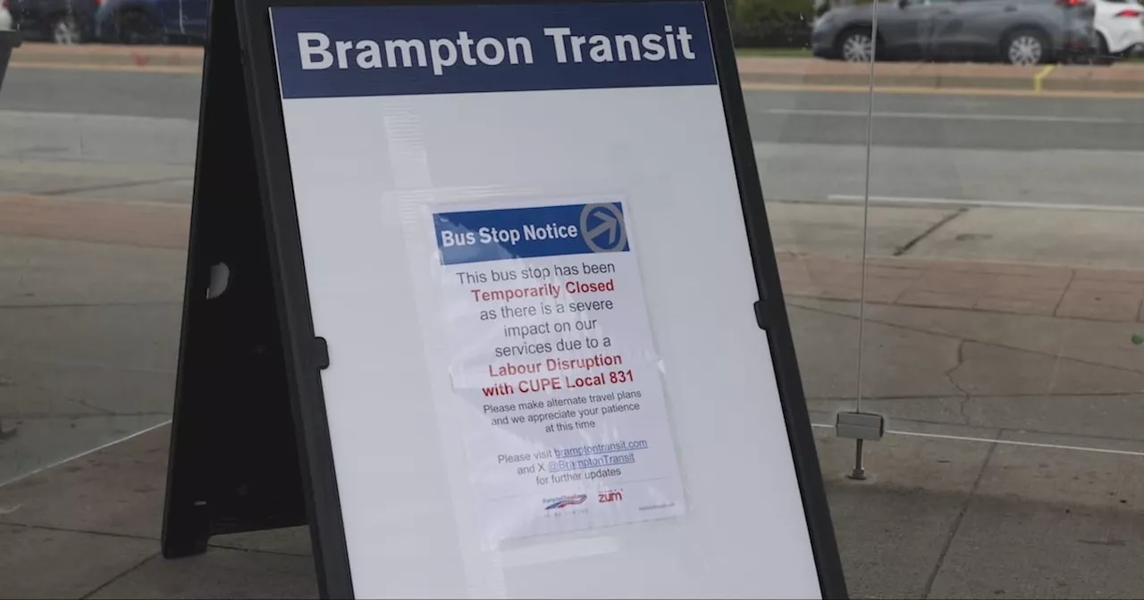 Brampton plans to pursue legal action if striking workers continue to disrupt bus service: mayor