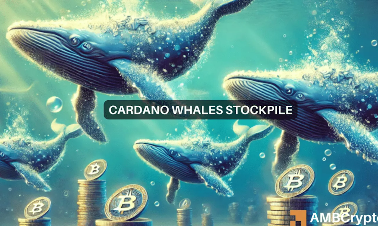 Cardano gains as whale transactions surge: A look at ADA’s future