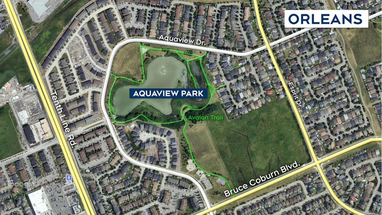 Police investigating discovery of a body in Orleans park