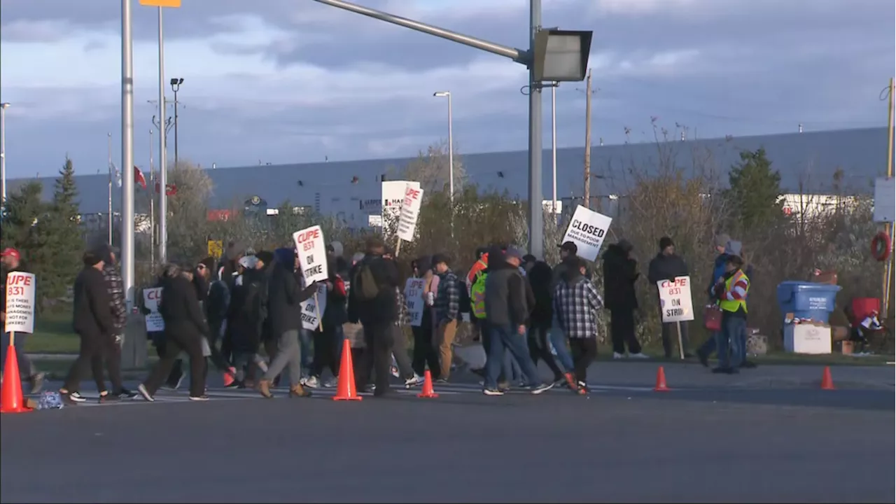 Brampton plans to pursue legal action if striking workers continue to disrupt bus service: mayor