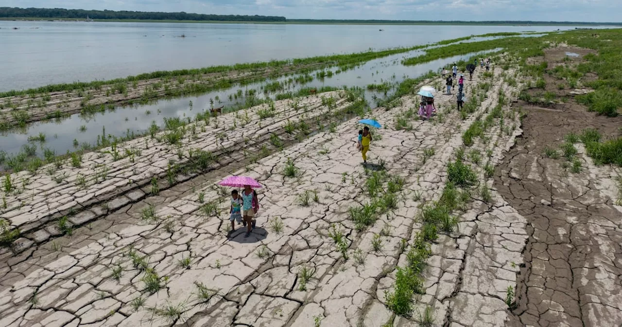 Unicef: Tørke i Amazonas setter en halv million barn i fare