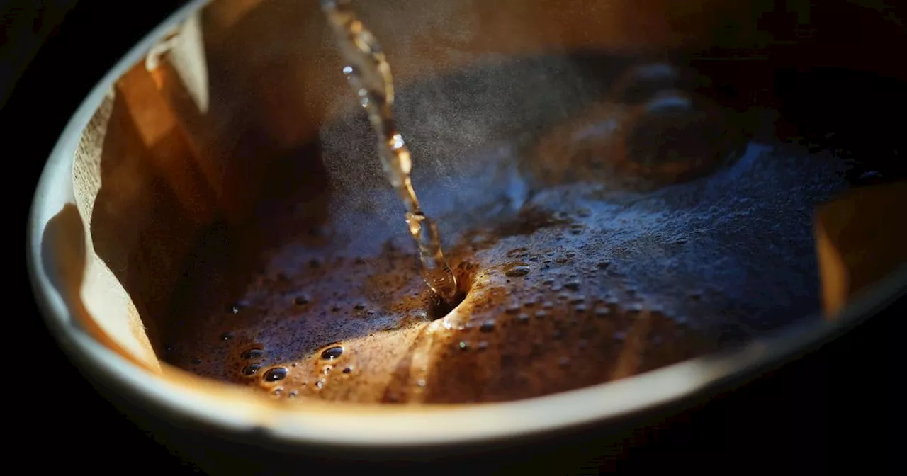 'I tried one of world's rarest coffees – one reason I'd never get it again'