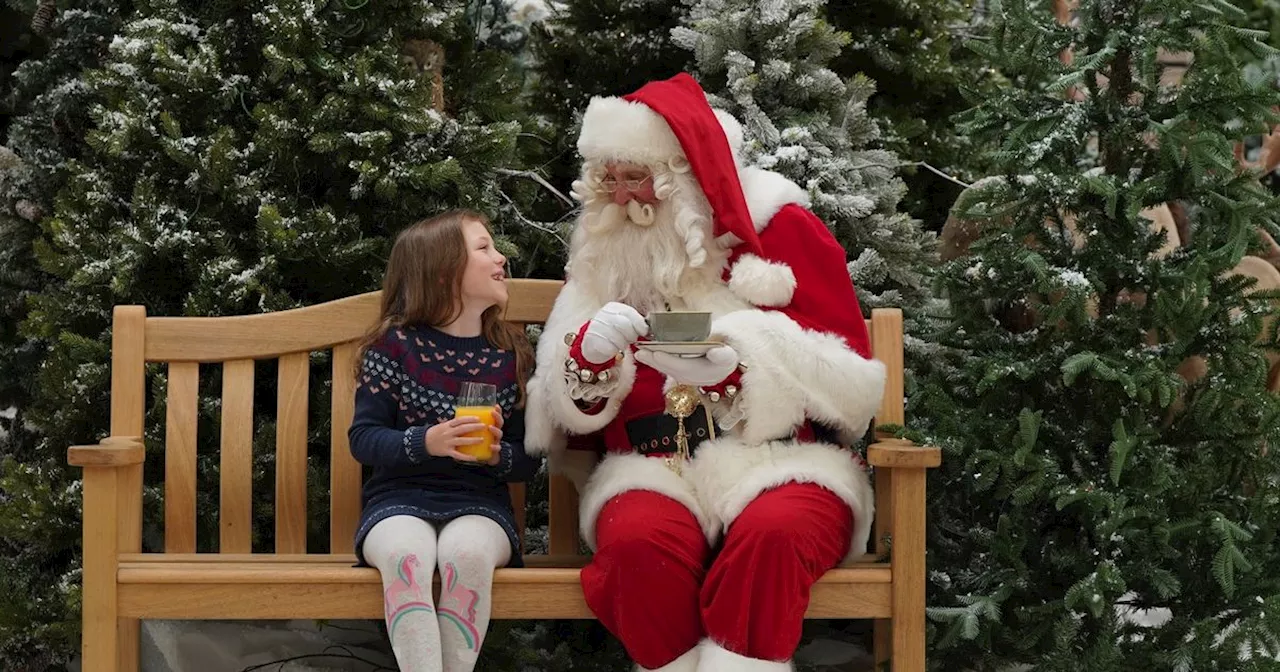 Lanarkshire garden centre serving up series of Christmas experiences