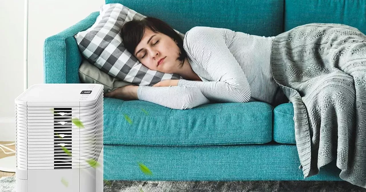 'Remarkable' Amazon dehumidifier that 'cures' damp and mould cut by over £90