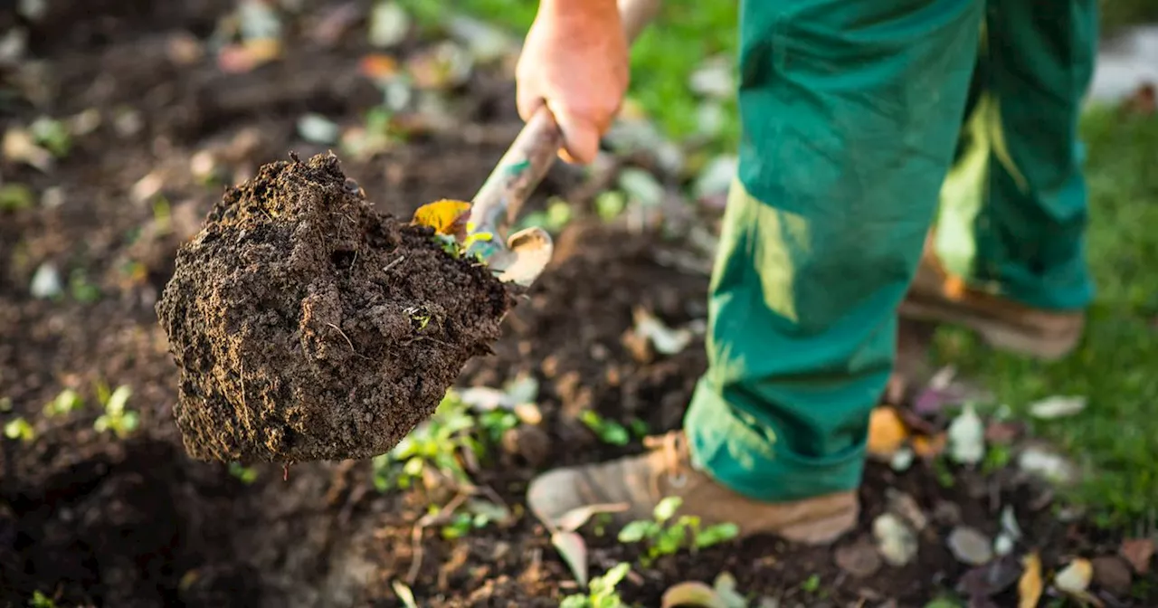 You need to stop making this common mistake, warns TikTok gardening expert