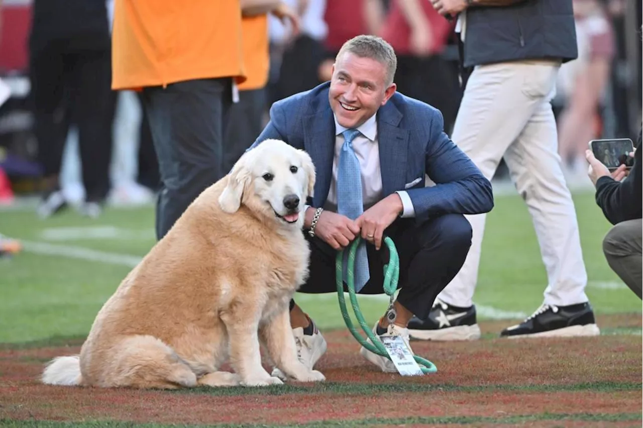 Football analyst Kirk Herbstreit’s popular dog, Ben, dies