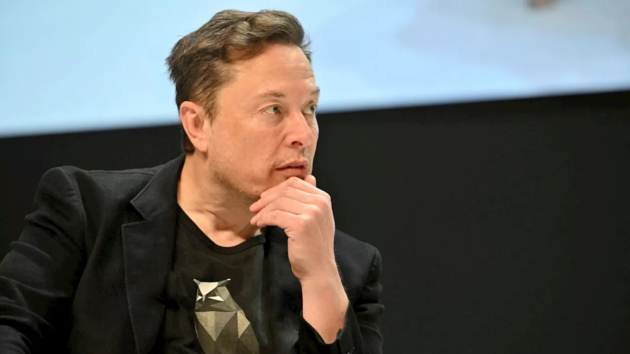 Auf seiner Plattform X: Elon Musk beschimpft Kanzler Scholz auf Deutsch