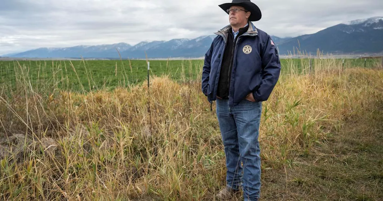 Shootouts and chopper assaults? The real story of livestock police beyond 'Yellowstone'