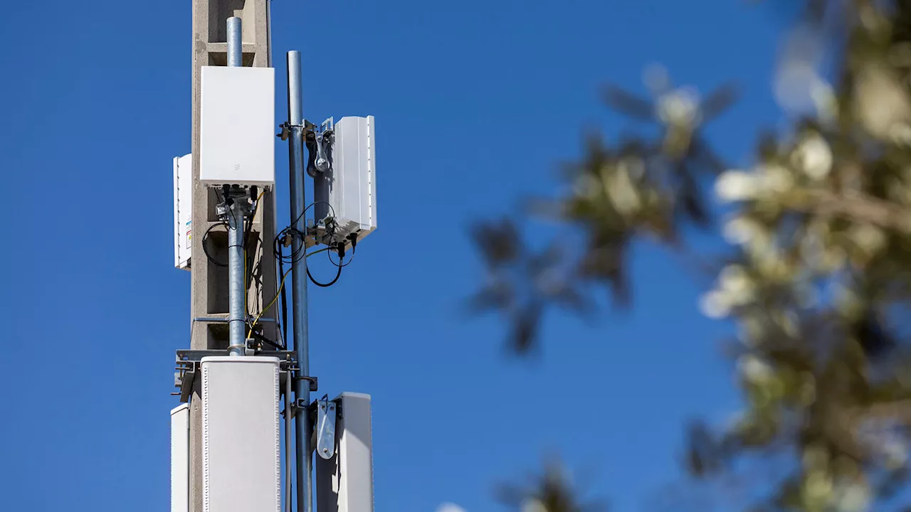 Torre de telecomunicações embargada por Câmara de Caminha