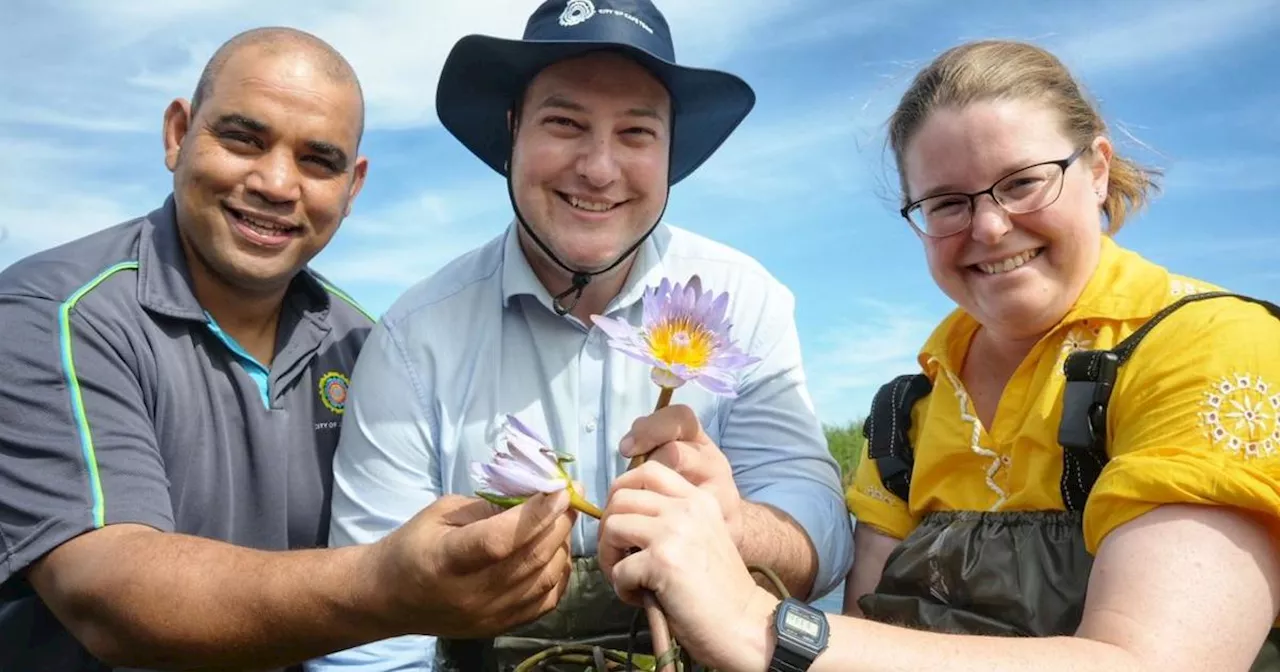 'Earthshot Lily' returns to Cape Flats roots as conservation efforts flourish