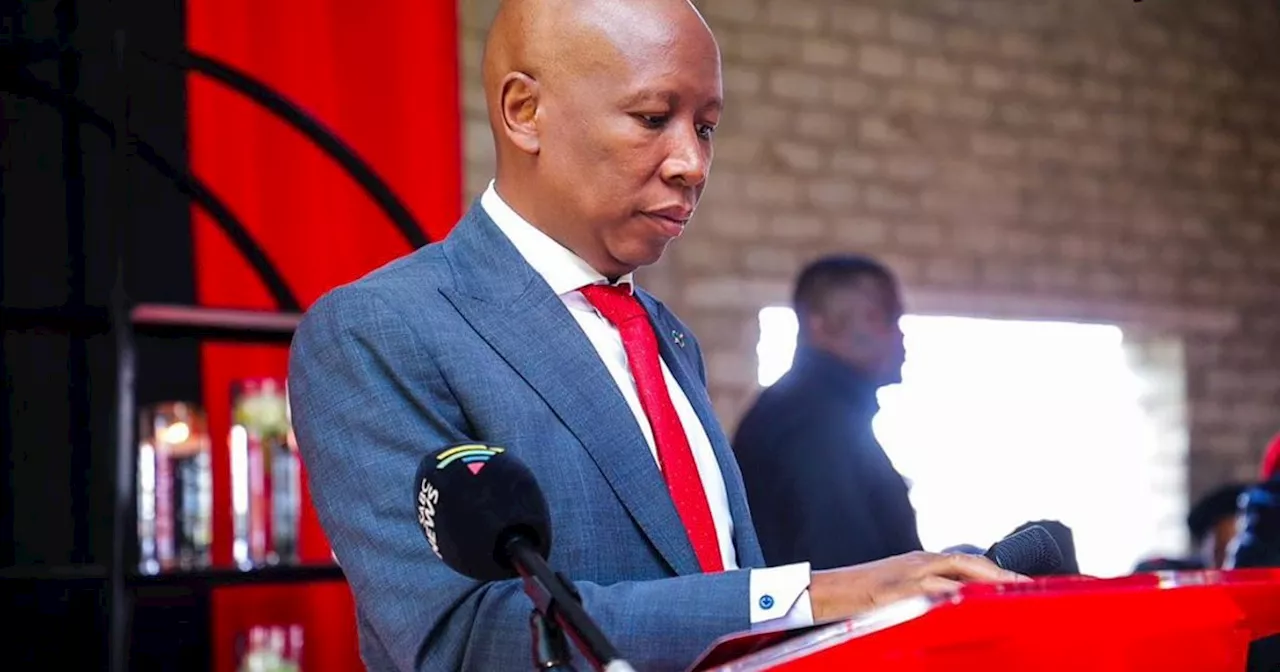 Malema says no love lost after Dali Mpofu's exit from the EFF