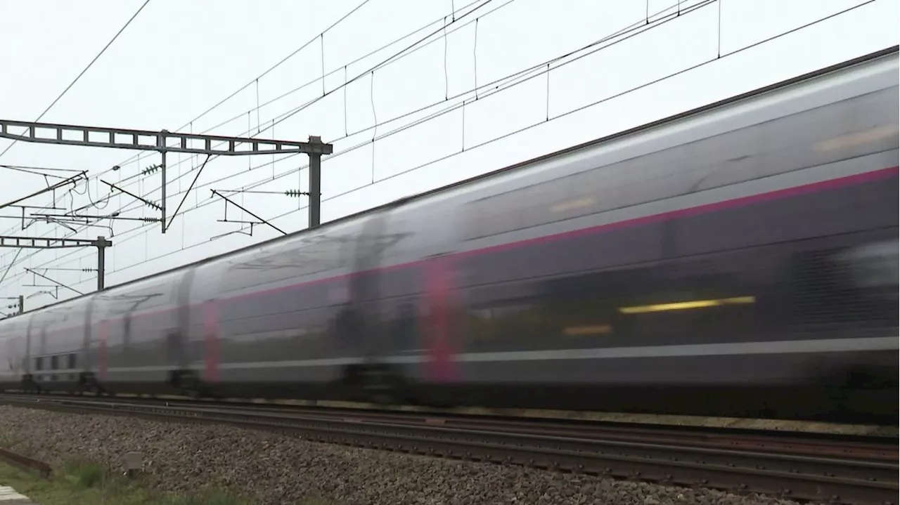 Paris-Lyon-Marseille : pourquoi les TGV seront au ralenti pendant quatre jours ?