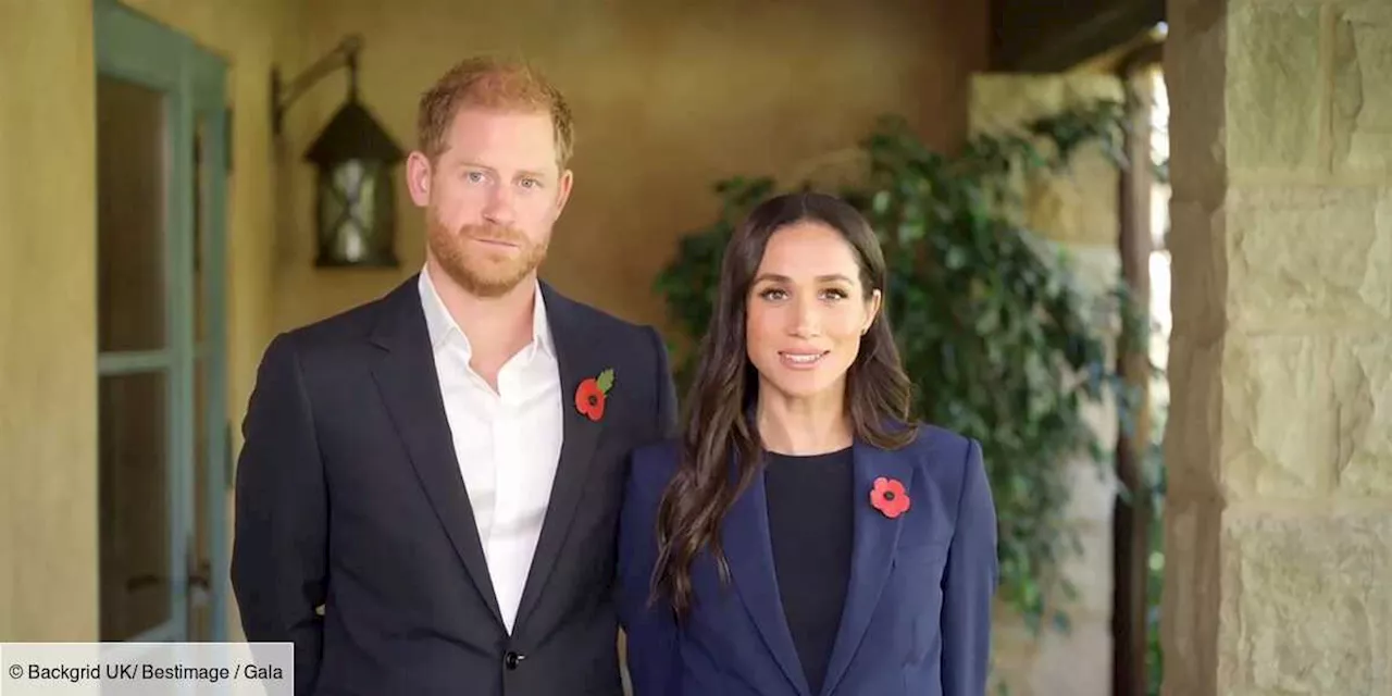 Harry et Meghan “désespérés” après la victoire de Donald Trump, ils tentent le tout pour le tout