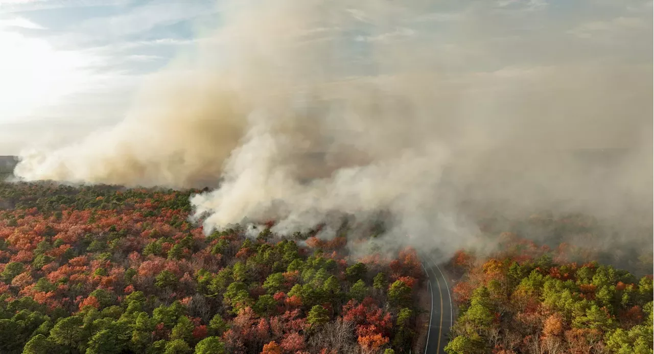 North Jersey wildfire sends smoke billowing over to Bronx and Inwood