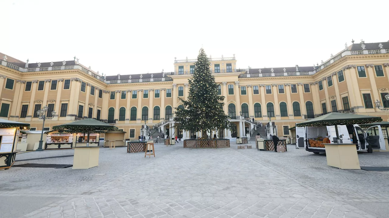 Christkindlmärkte öffnen nun - Neuer Weihnachtsmarkt Schönbrunn startet jetzt durch