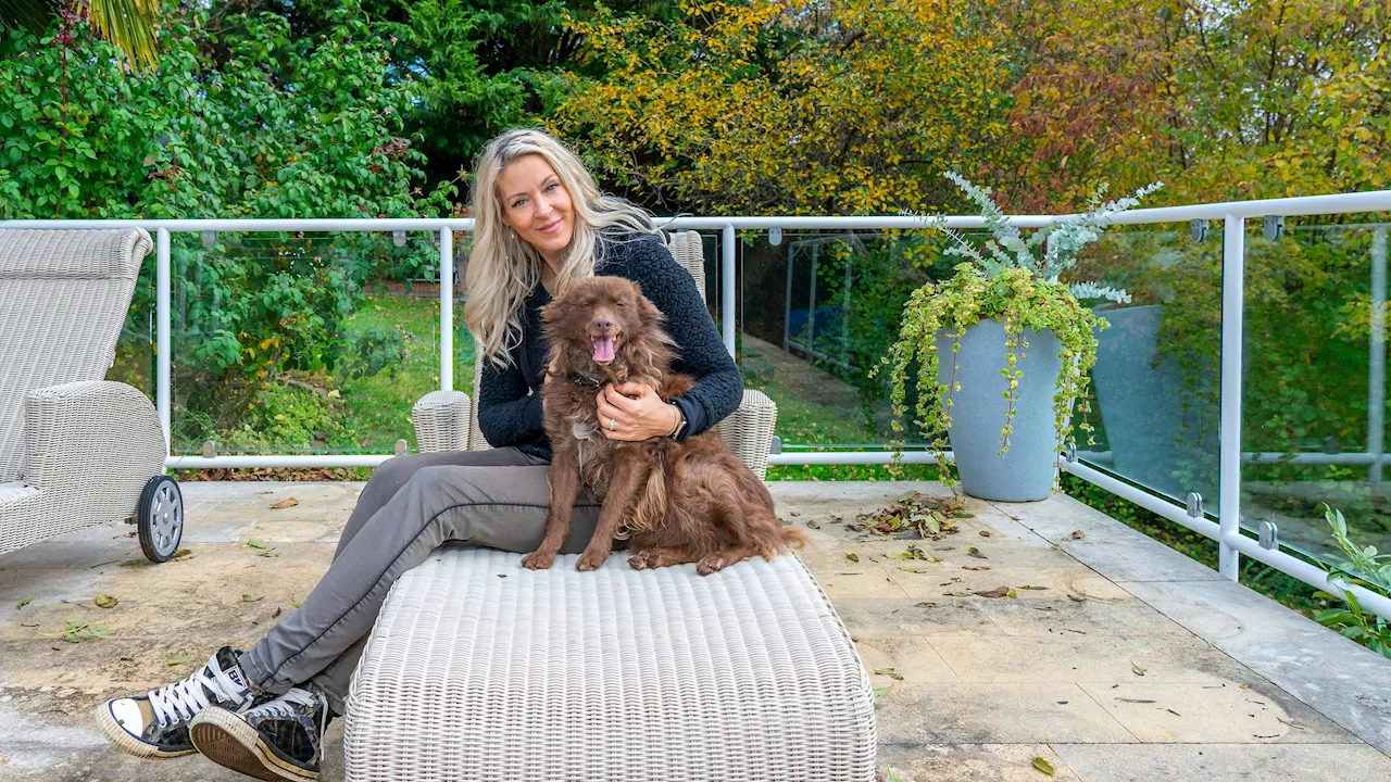 Nach Lugner-City-Aus - Simone Lugner hat ab 2025 einen neuen Job!