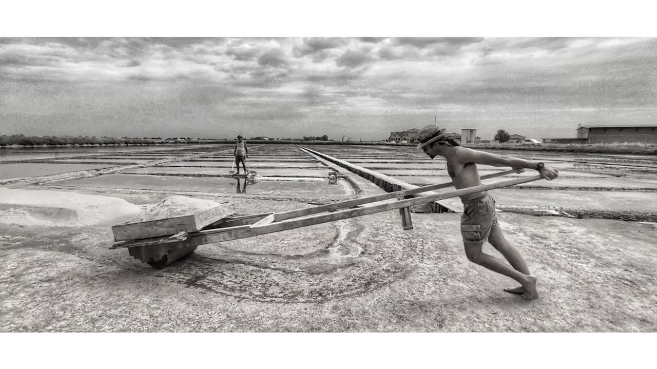 Premio Fotografico Nino Migliori 2024. Ecco i vincitori