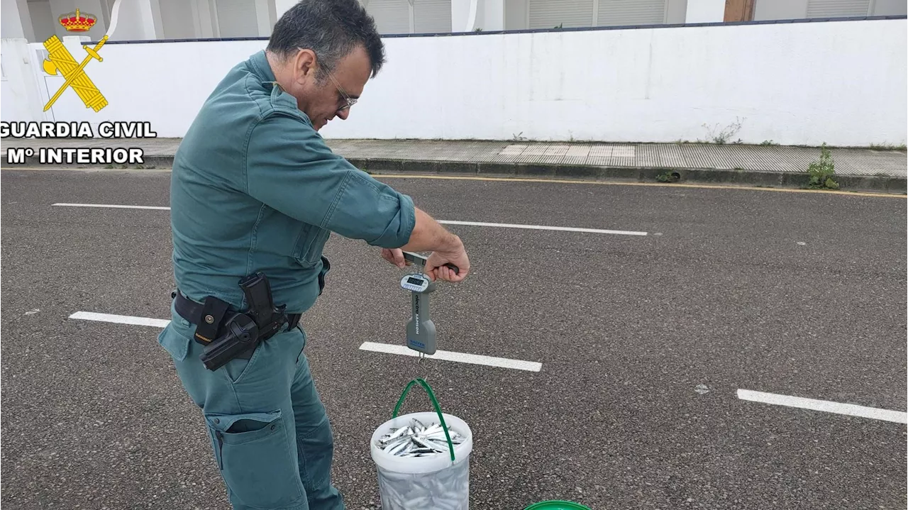 Pillan a un hombre con casi 100 kilos de pescado en el maletero en L'Escala